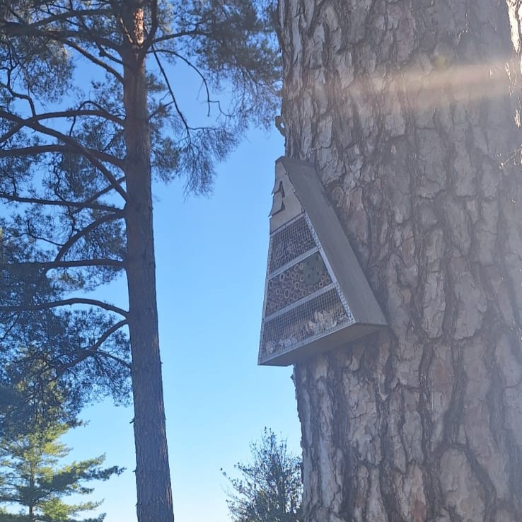 haute-valeur-environnementale-insecte