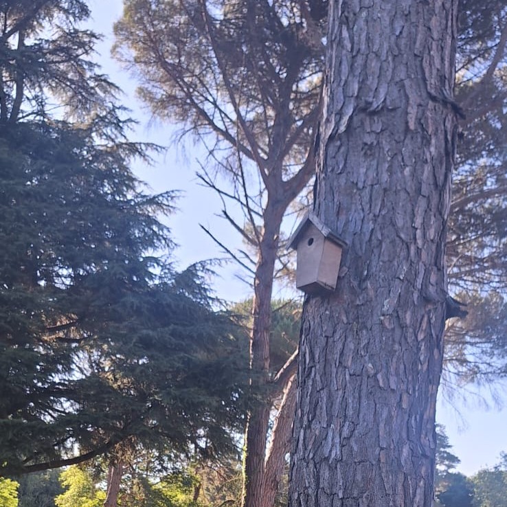 haute-valeur-environnementale-maison-oiseau