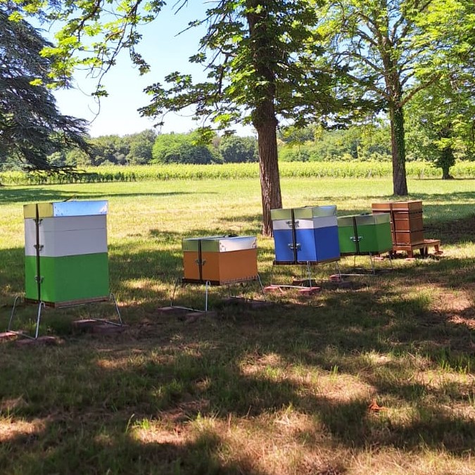 haute-valeur-environnementale-ruche